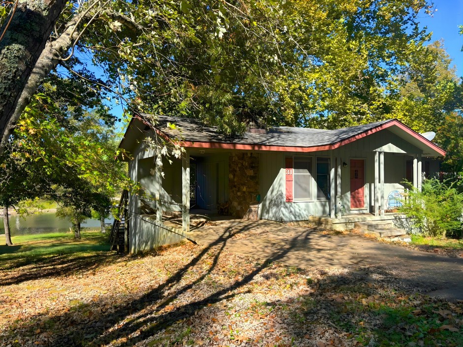 main photo