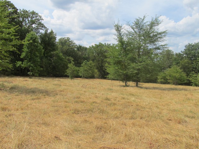 Farm/Ranch/Land for sale – 113 Acres   Madison    Huntsville, AR