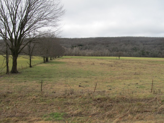 Farm/Ranch/Land for sale –   Hwy 23 South    Huntsville, AR