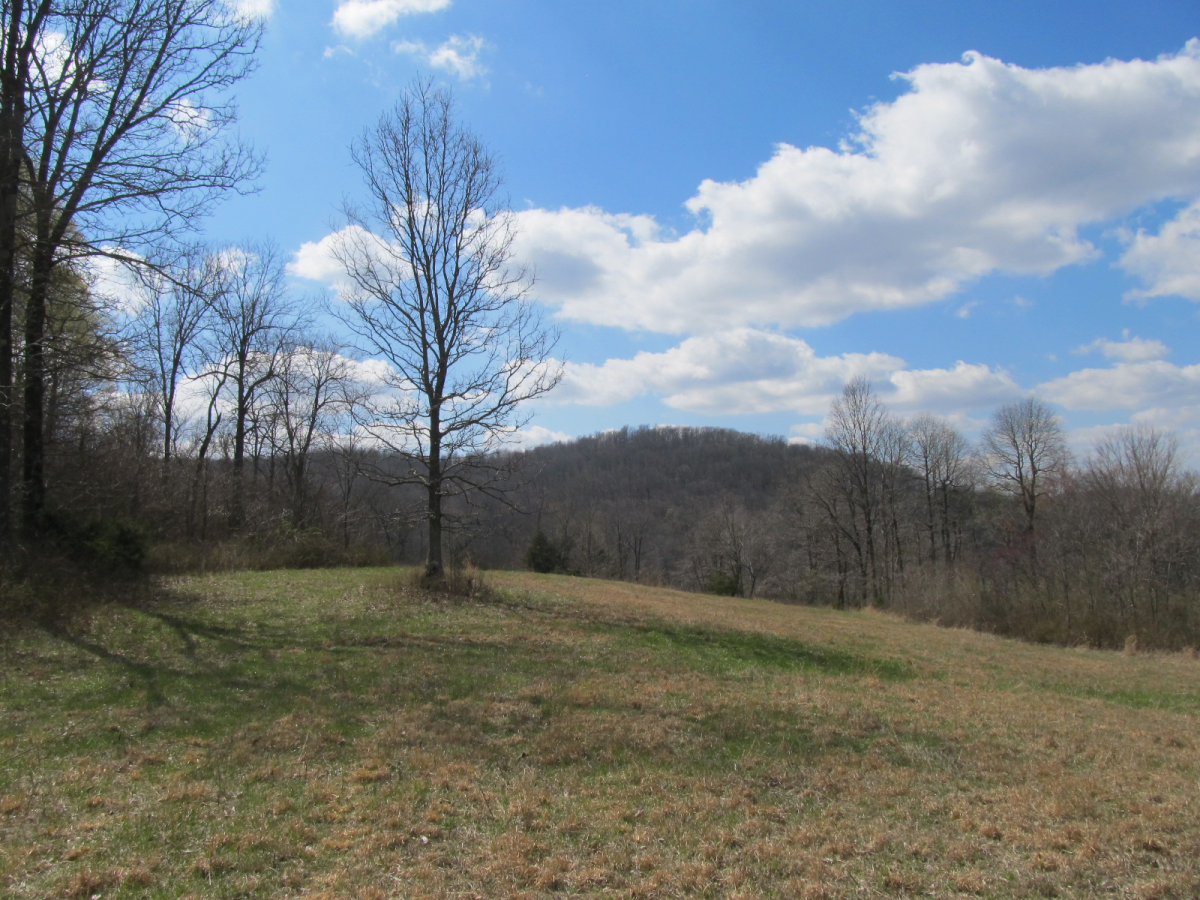 Hindsville AR Homes & Real Estate Bolingers Real Estate