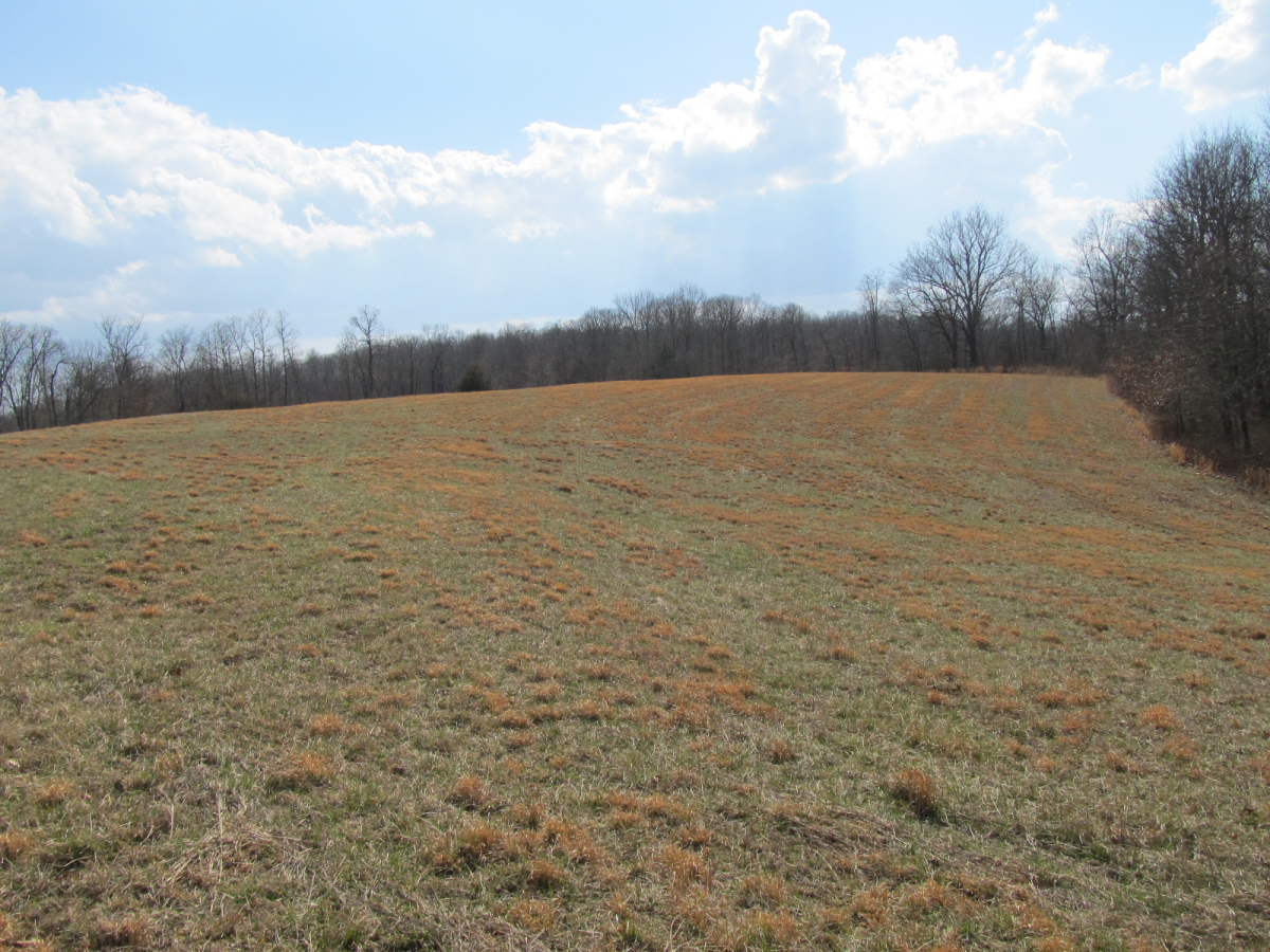 Farm/Ranch/Land for sale –      Pettigrew, AR