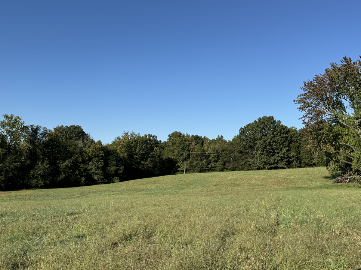 Farm/Ranch/Land for sale – 000  Ingram   Maynard, AR
