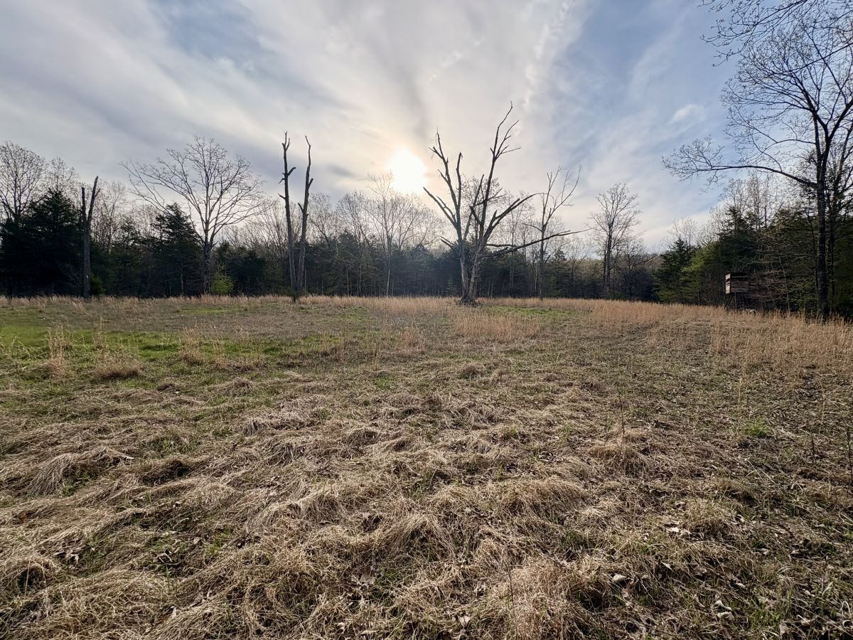 Farm/Ranch/Land for sale – 14990  Highway 90 West    Pocahontas, AR