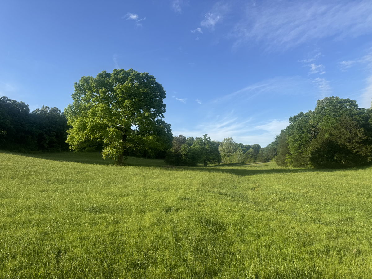 Farm/Ranch/Land for sale –   Muddy lane    Imboden, AR