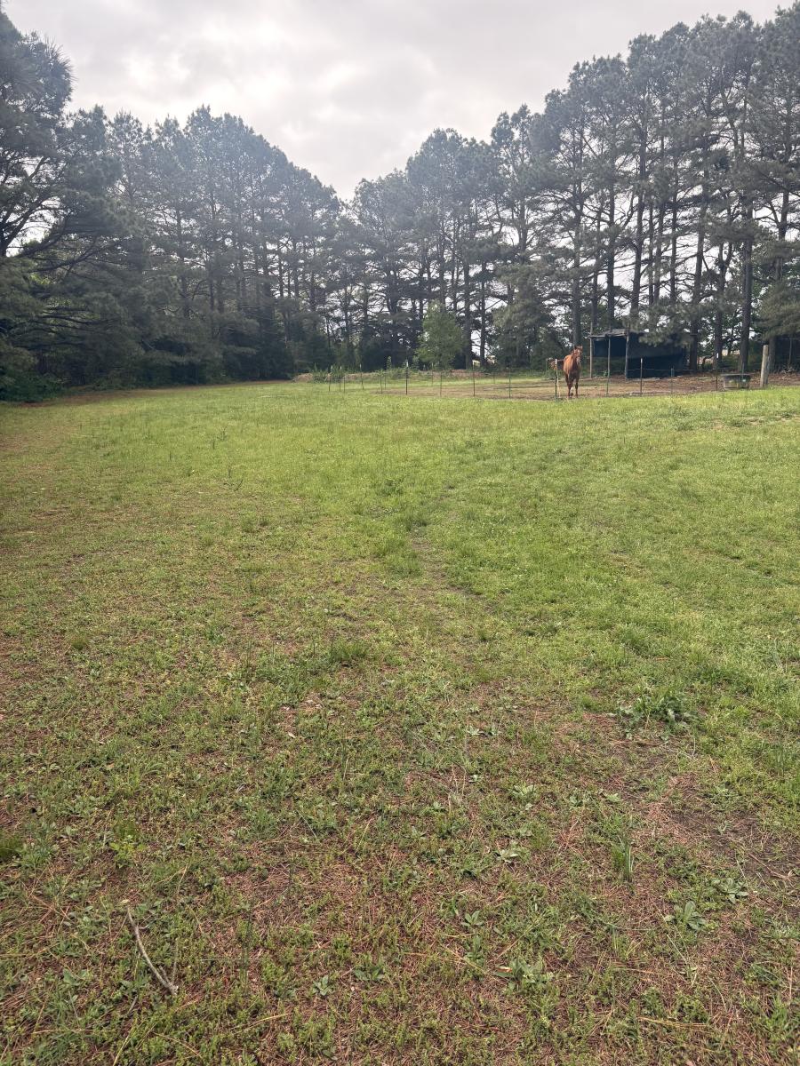 Farm/Ranch/Land for sale –   Highway 304 E   Pocahontas, AR