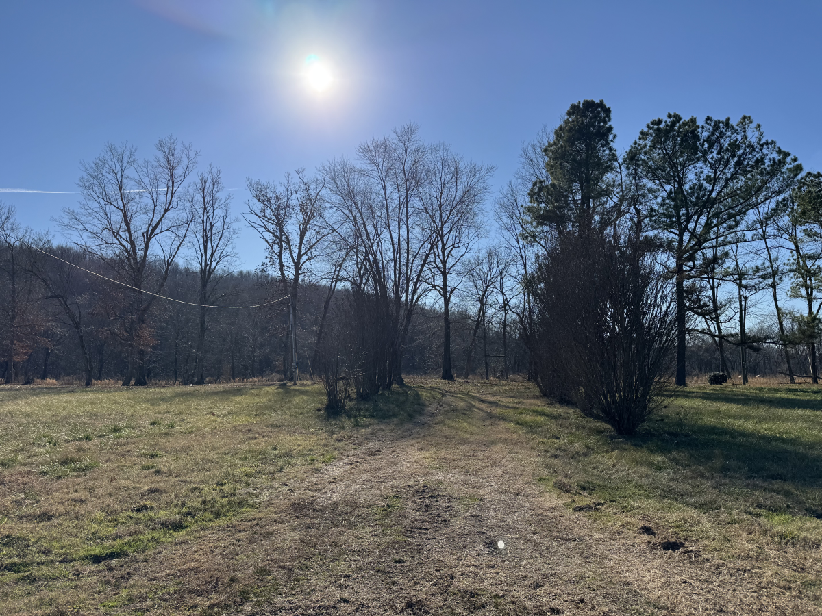 Farm/Ranch/Land for sale – Lot 32   Heron Trail   Pocahontas, AR