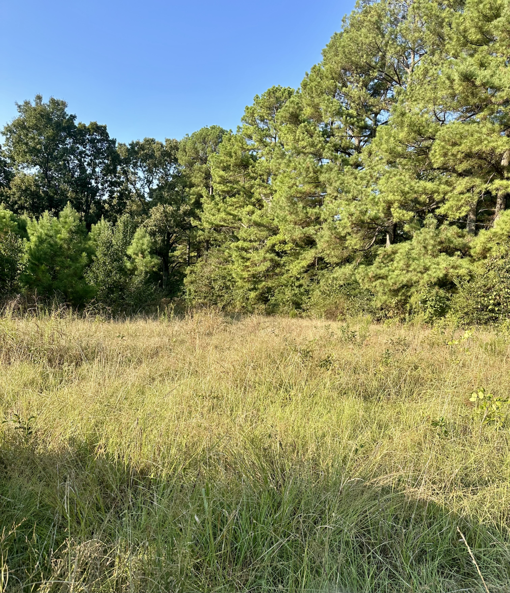 Farm/Ranch/Land for sale – 3400   Hwy 62 West   Pocahontas, AR