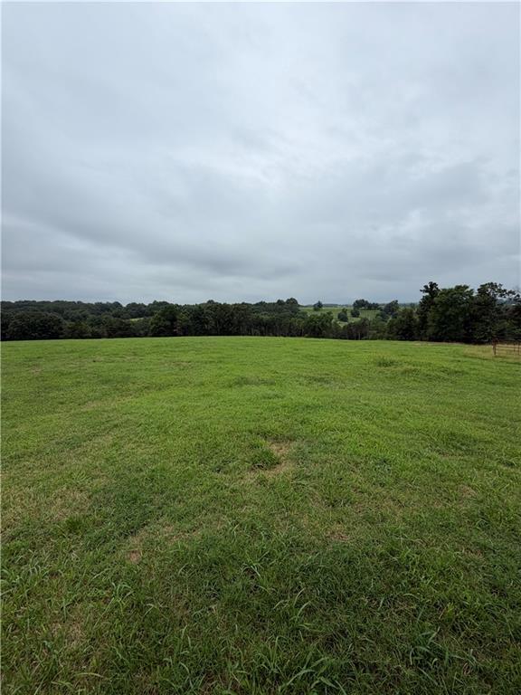 Farm/Ranch/Land for sale – TBD  County Road 440   Berryville, AR