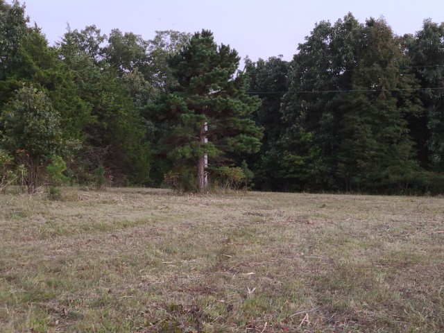 Farm/Ranch/Land for sale – 600  Hwy Y   Steelville, MO