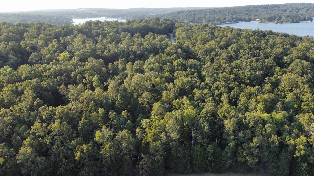 Residential for sale – 1205  Tri Lakes Drive  Horseshoe Bend, AR