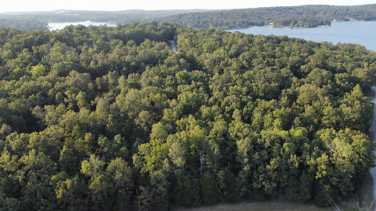 Residential for sale – 1205  Tri Lakes Drive  Horseshoe Bend, AR