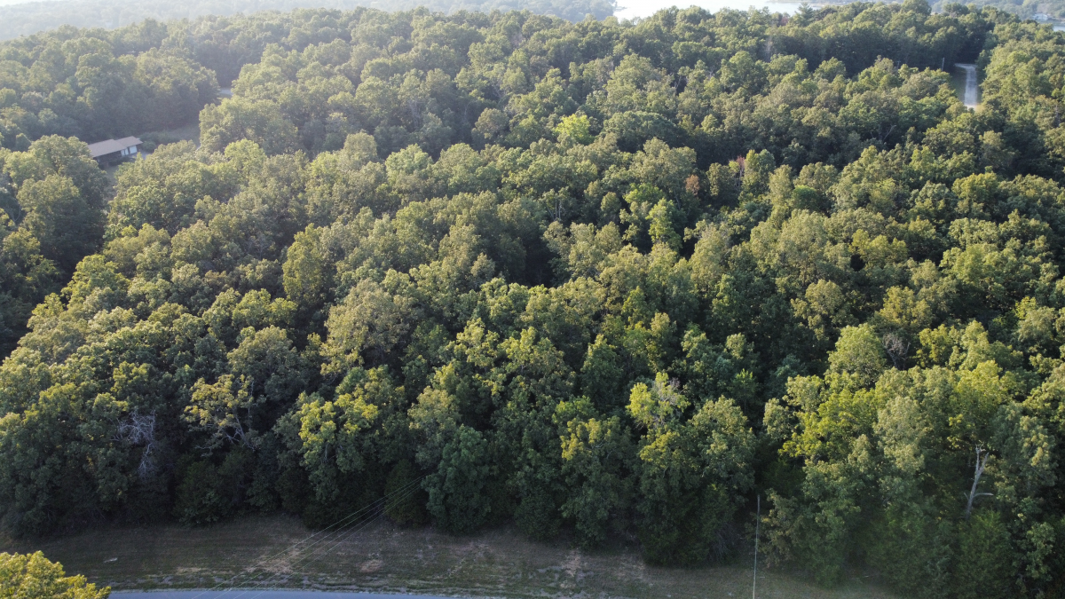 Residential for sale – 1205  Tri Lakes Drive  Horseshoe Bend, AR