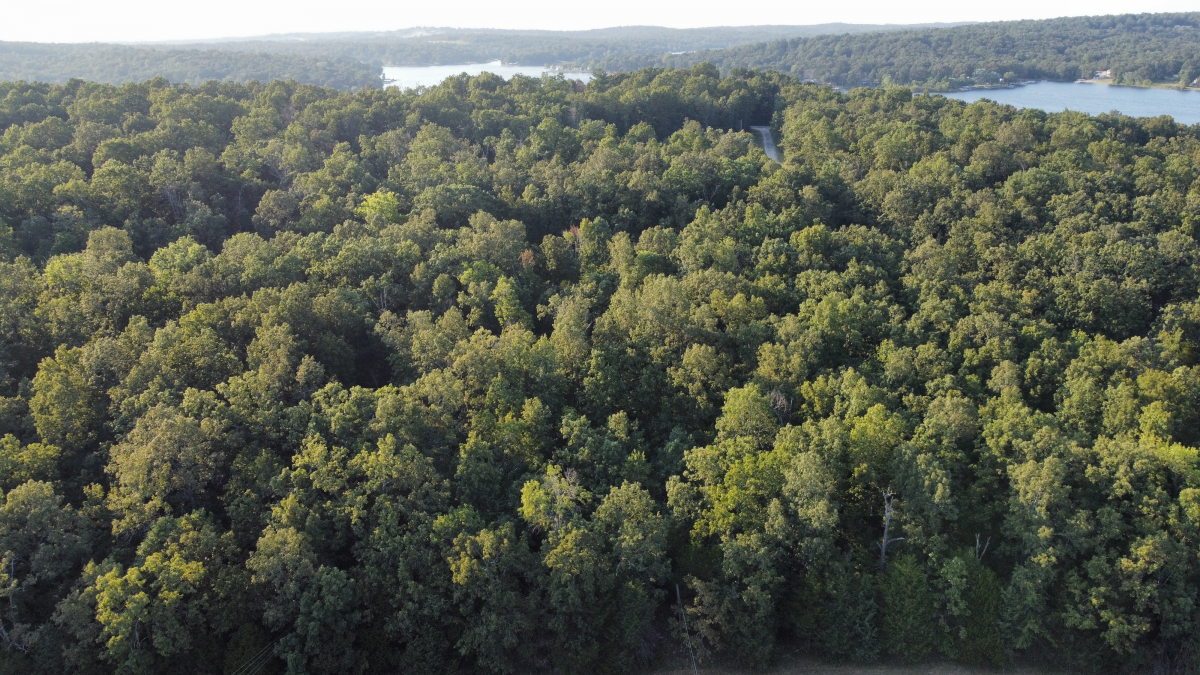 Residential for sale – 1205  Tri Lakes Drive  Horseshoe Bend, AR