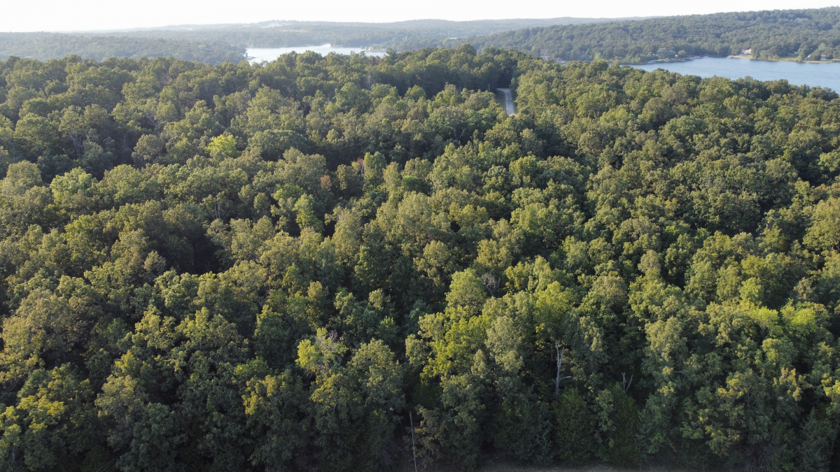 Residential for sale – 1205  Tri Lakes Drive  Horseshoe Bend, AR