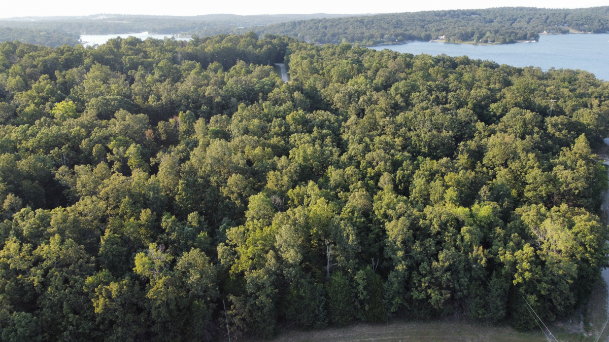 Residential for sale – 1205  Tri Lakes Drive  Horseshoe Bend, AR