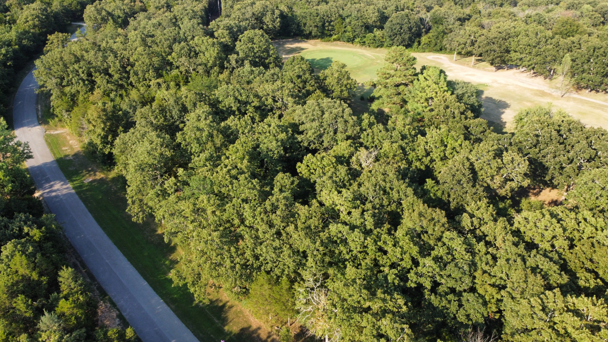 Residential for sale – 325 West Green Valley Drive  Horseshoe Bend, AR