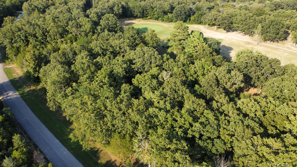 Residential for sale – 325 West Green Valley Drive  Horseshoe Bend, AR