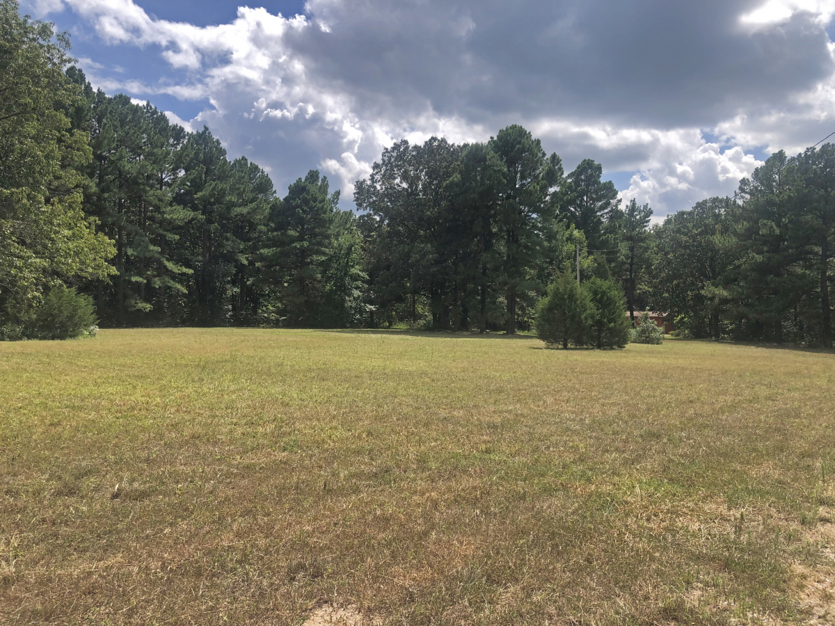 Farm/Ranch/Land for sale –  Williford, 