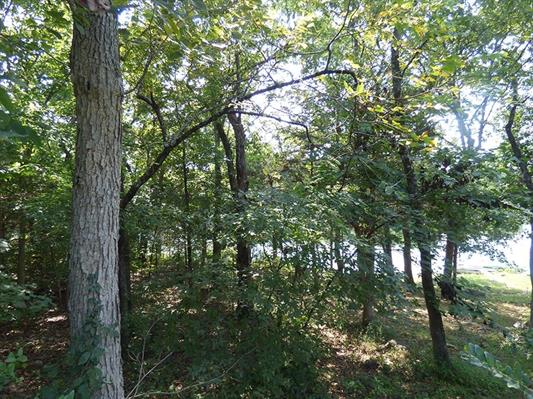 Residential for sale –  Cherokee Village, 