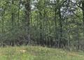 Residential for sale –  Cherokee Village, 