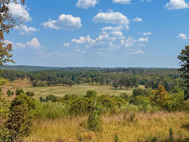 Residential for sale – 60  Tablerock Road  Evening Shade, AR