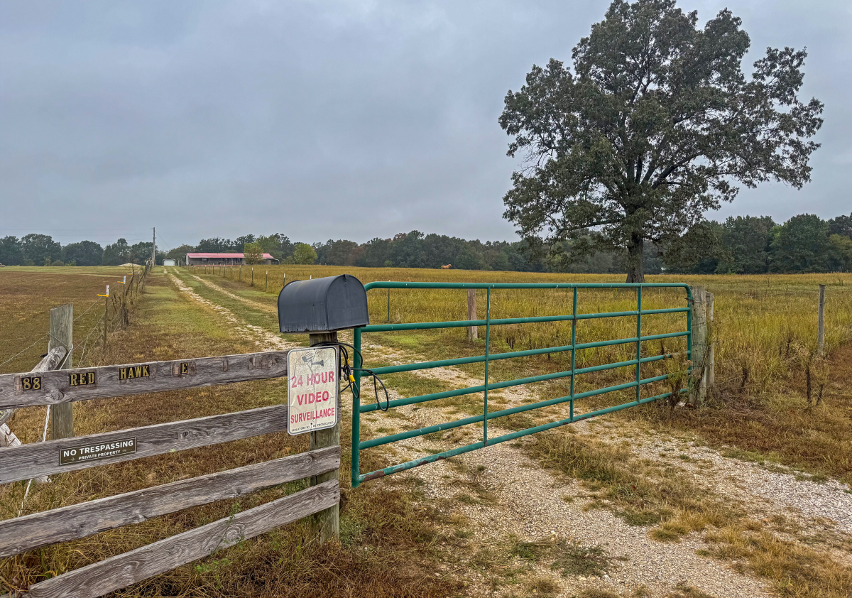 Residential for sale – 188  Red Hawk Lane  Glencoe, AR