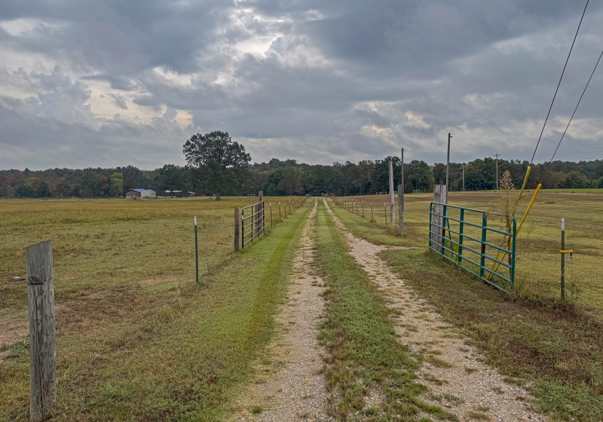 Residential for sale – 188  Red Hawk Lane  Glencoe, AR