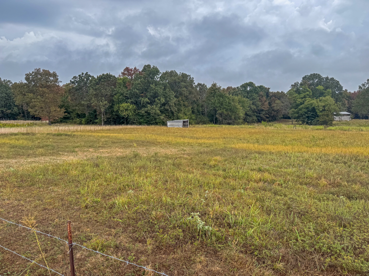 Residential for sale – 188  Red Hawk Lane  Glencoe, AR