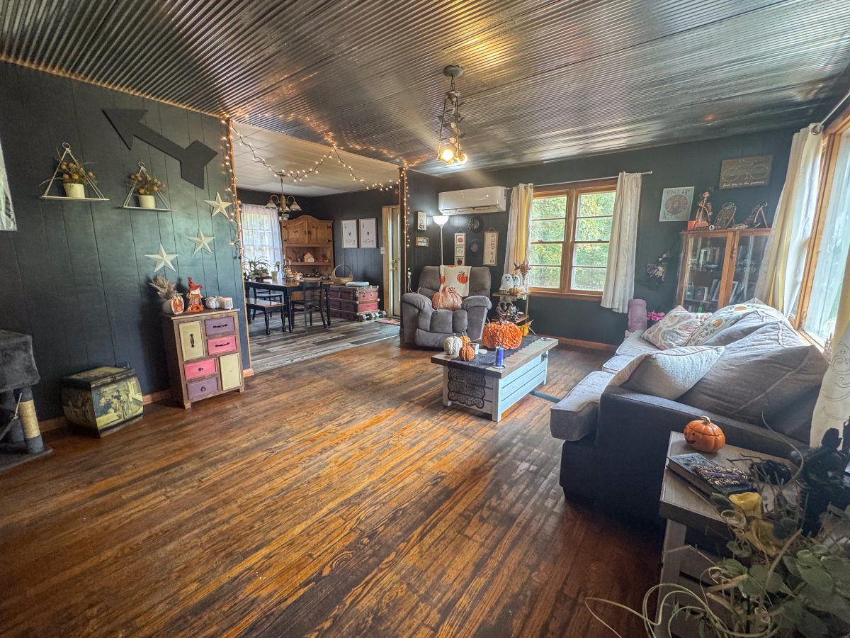 Residential for sale – 2541  Hwy 62/412   Highland, AR