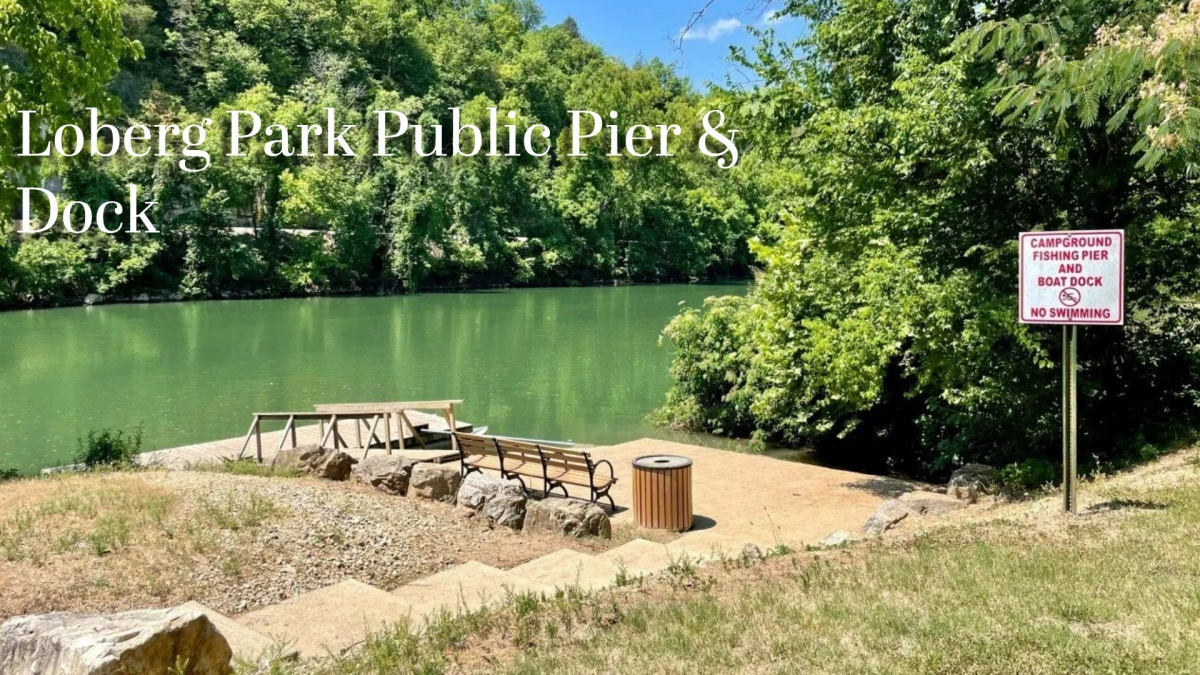 Residential for sale – TBD  Loberg Drive  Hardy, AR