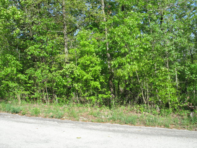 Residential for sale –   Pro Shop Road  Cherokee Village, AR