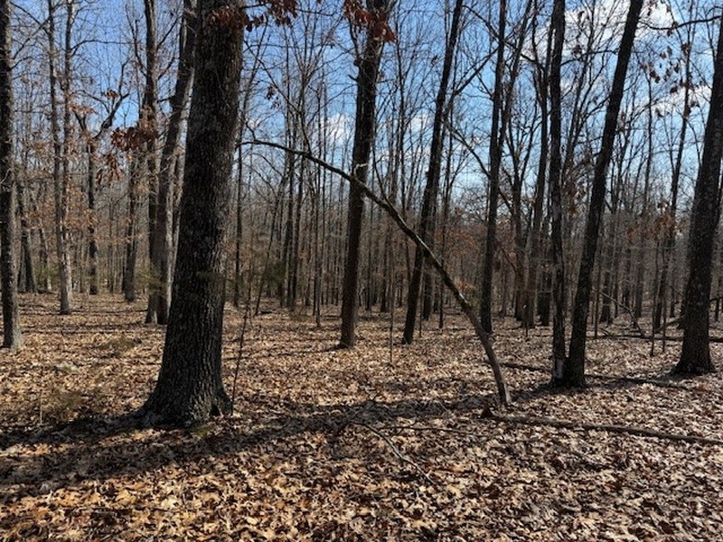 Farm/Ranch/Land for sale – 6614  Promise Land Road   Mountain Home, AR