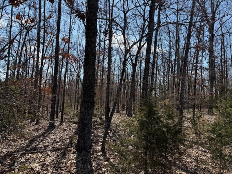 Farm/Ranch/Land for sale – 6614  Promise Land Road   Mountain Home, AR