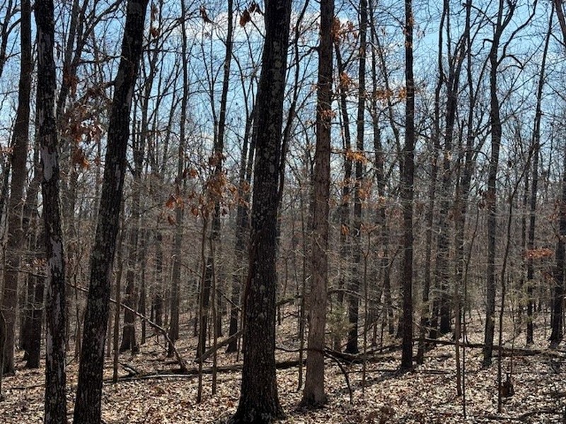 Farm/Ranch/Land for sale – 6614  Promise Land Road   Mountain Home, AR