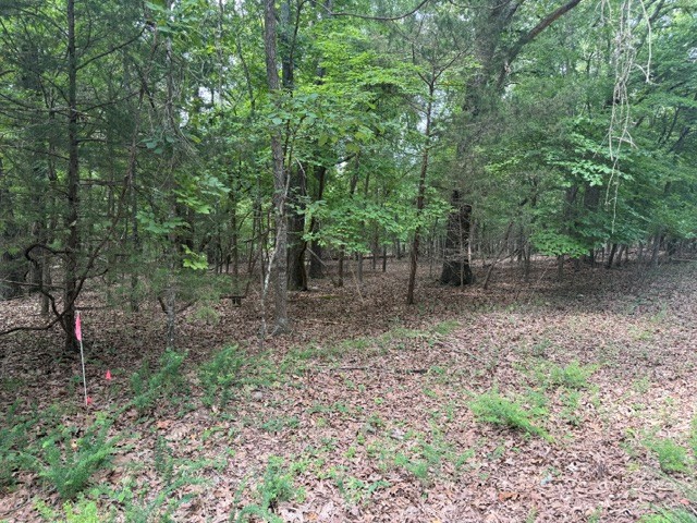 Farm/Ranch/Land for sale – 218  CR 472   Clarkridge, AR