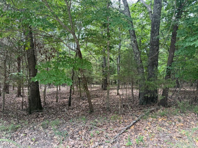 Farm/Ranch/Land for sale – 258  CR 472   Clarkridge, AR
