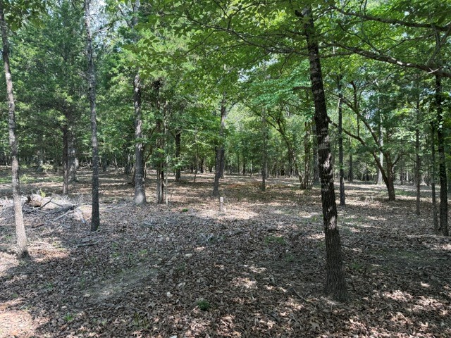Farm/Ranch/Land for sale – 18  Catawba   Clarkridge, AR
