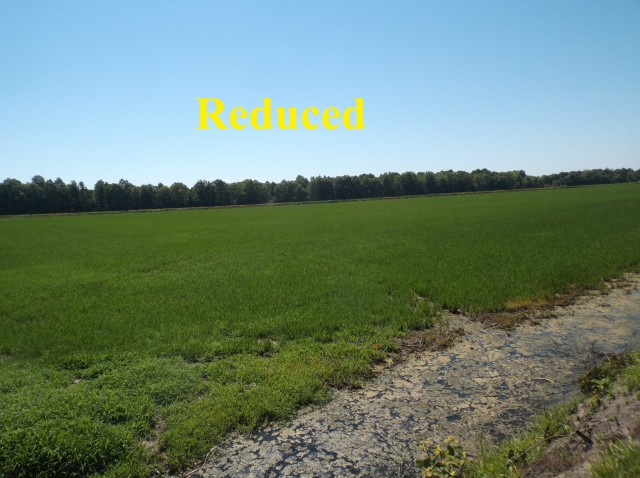 Farm/Ranch/Land for sale – TBD  Greene Road 111   Delaplaine, AR