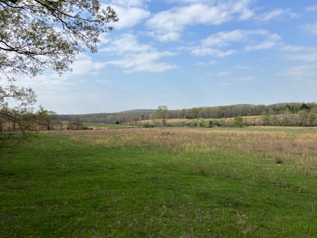 Farm/Ranch/Land for sale – TBD Ripley RT V Doniphan, MO