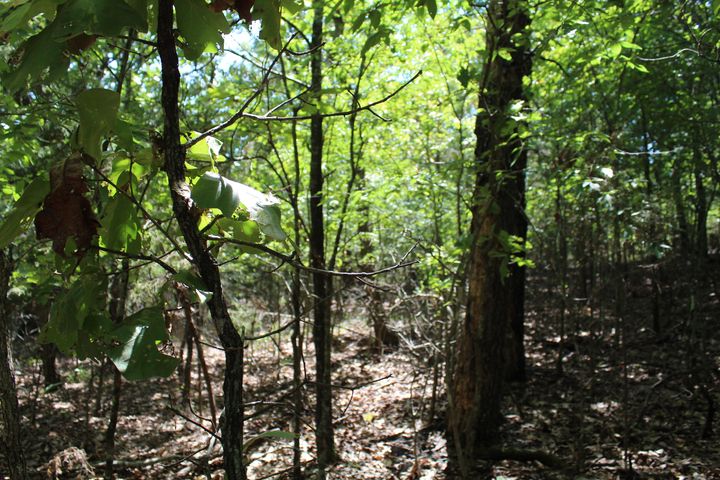Listing 580723