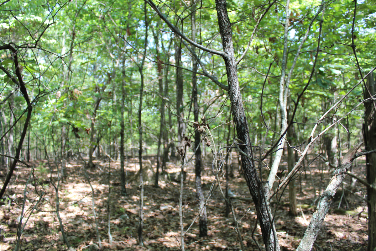 Listing 580726