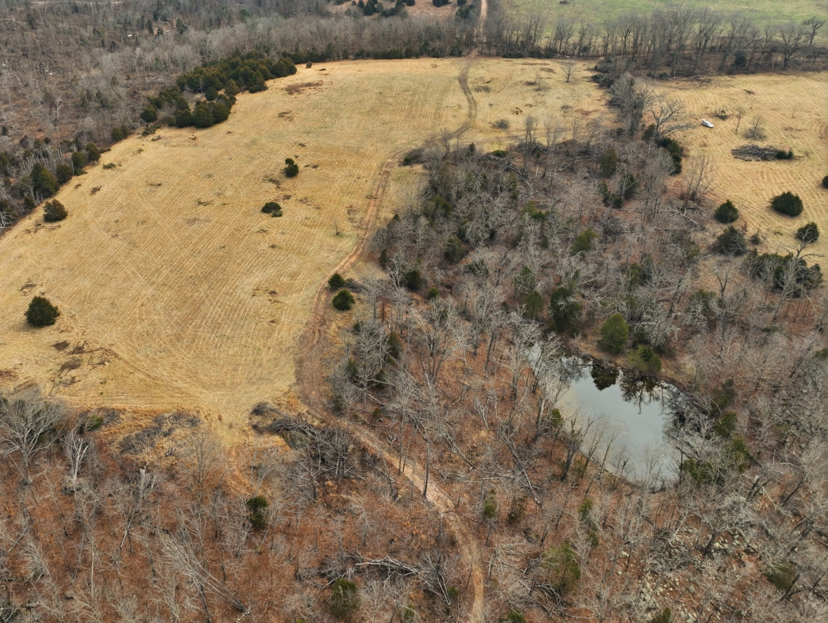 Farm/Ranch/Land for sale – 000 County Road 60-489 Birch Tree, MO