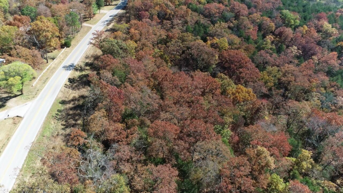 Farm/Ranch/Land for sale – 000  Highway 76   Kirbyville, MO